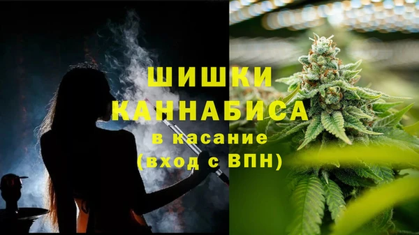крисы Медвежьегорск