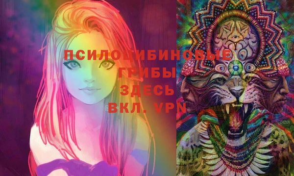 герыч Медногорск