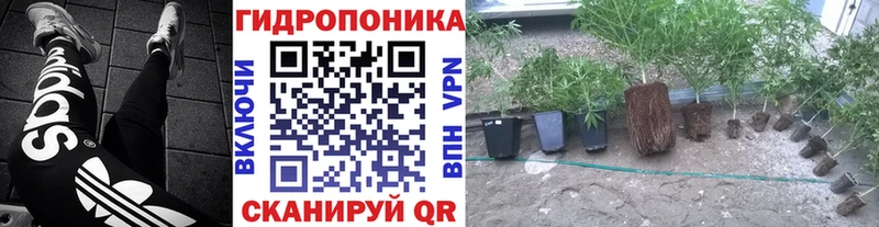 kraken маркетплейс  Жиздра  МАРИХУАНА THC 21% 